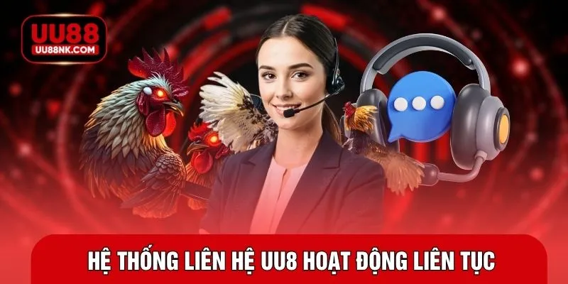 Hệ thống liên hệ UU8 hoạt động liên tục